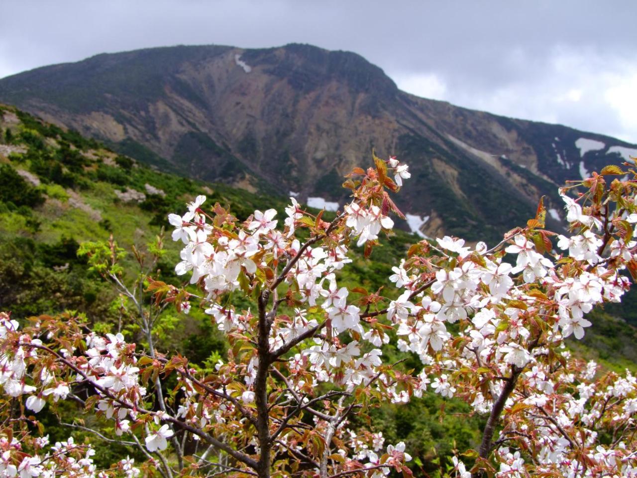 伊藤屋 Hotel Yamagata  Luaran gambar