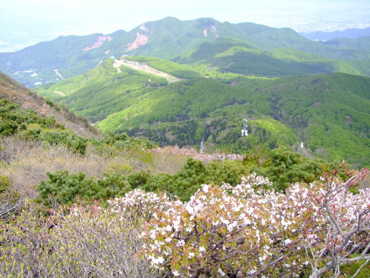 伊藤屋 Hotel Yamagata  Luaran gambar